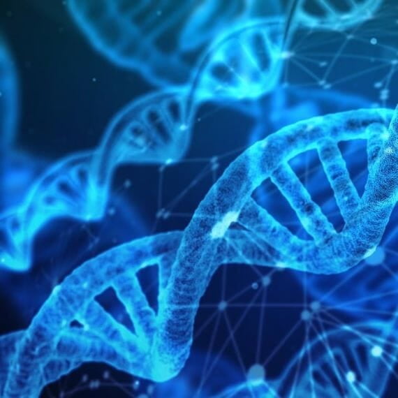 Medical devices and health software: a closer look to the related ISO standards