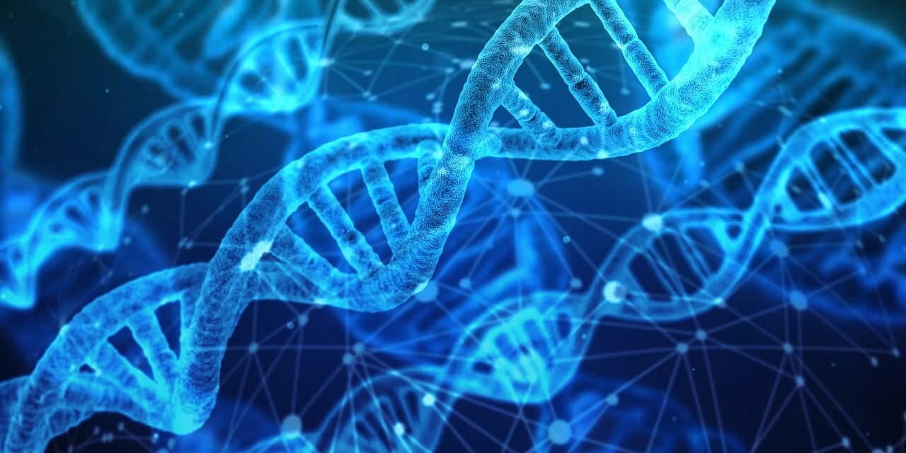 direttiva sulla responsabilità da intelligenza artificiale itsmf blog