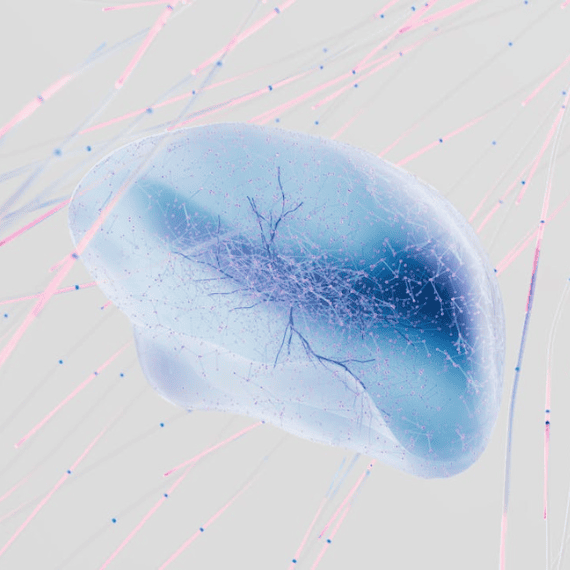Software as a Medical Device (SaaMD): artificial intelligence and innovation